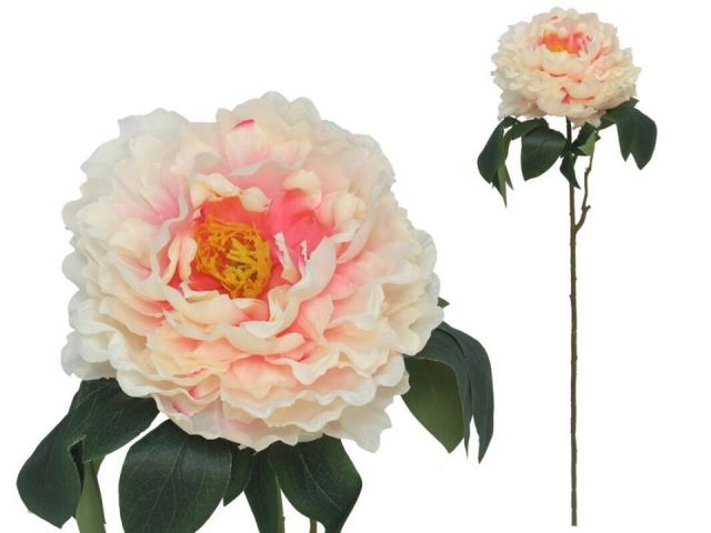 VARA PEONIA 74 CMS *ROSA 67443