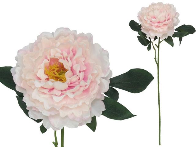 VARA PEONIA 74 CMS *MALVA 67498