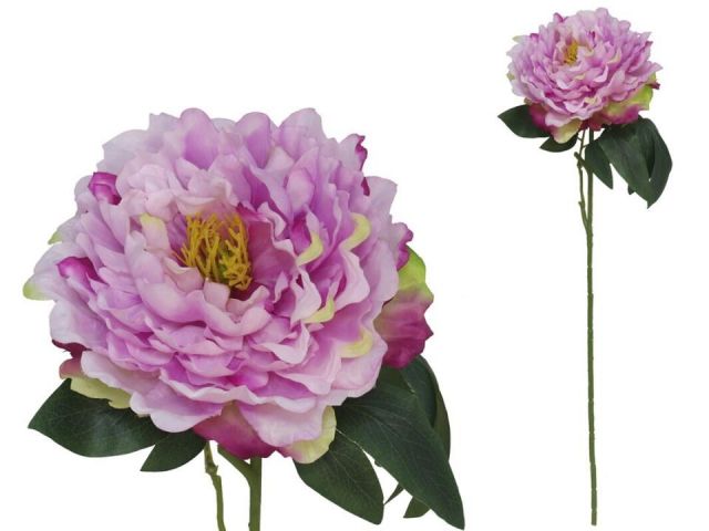 VARA PEONIA 74 CMS *VIOLETA 67504