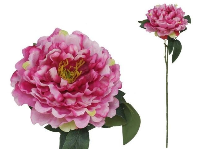 VARA PEONIA 74 CMS *FUCSIA 67450