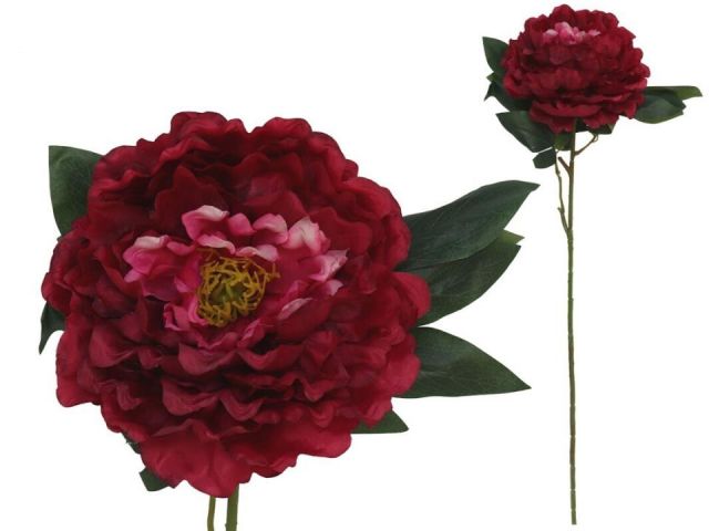 VARA PEONIA 74 CMS *BURDEOS 67474