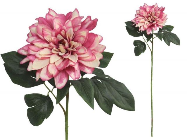 VARA DALIA *FUCSIA 74CM *867788