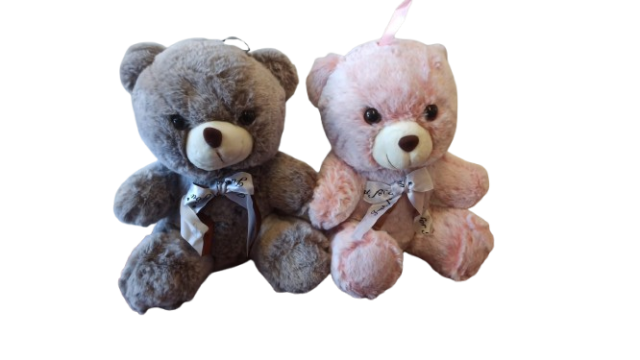OSO PELUCHE 2 COLORES 25CM 79223