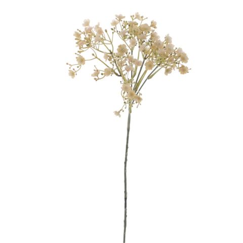 VARA GYPSOPHILA *BEIGE 6113-31