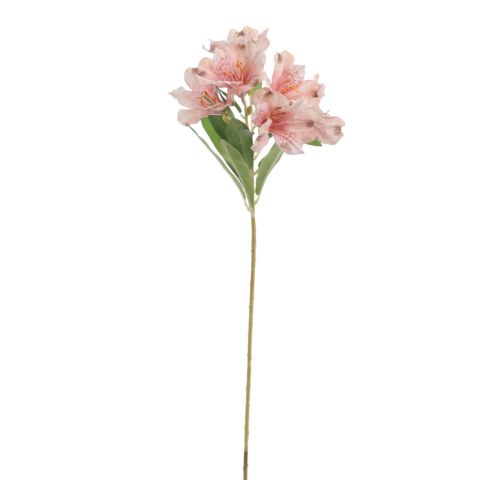 VARA ASTROMELIA  *ROSA 6956-12