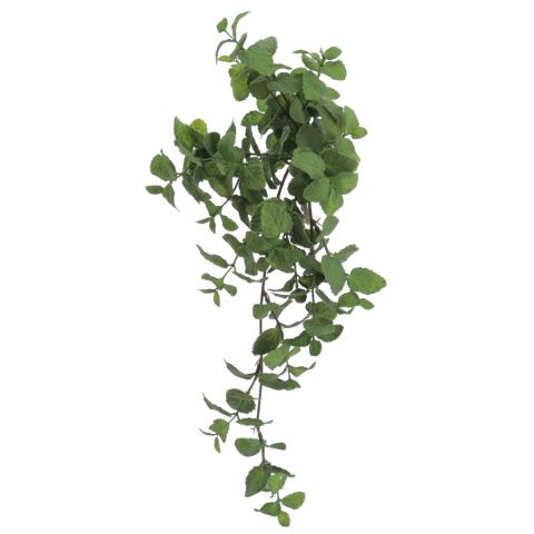 PLANTA COLGANTE MENTA *VERDE 6320-09