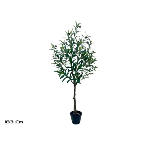 PLANTA OLIVO 183CM *391649