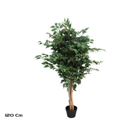 PLANTA FICUS 120CM *395901
