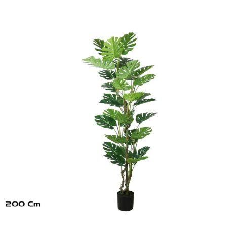 PLANTA MONSTERA 200CM 187013
