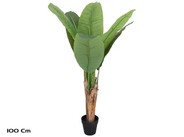 PLANTA PLATANERO 100CM 395326