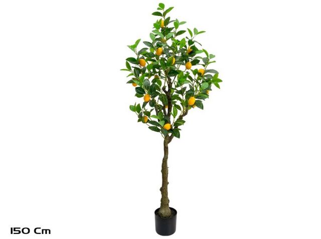 PLANTA LIMONERO 150CM *391700