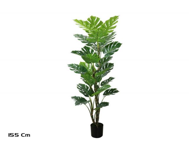 PLANTA MONSTERA 155CM *187006