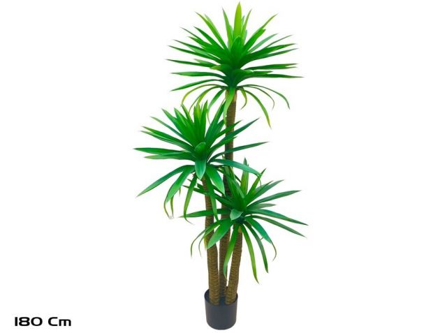 PLANTA YUCCA X3 180CM *391571