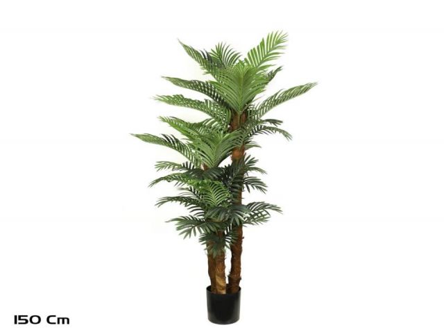 PLANTA PALMERA PHOENIX 150CM *186795