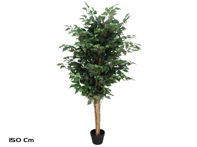 PLANTA  FICUS 150CM *395418