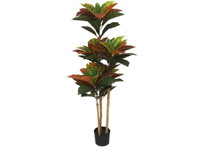 PLANTA CROTON 120CM *390635
