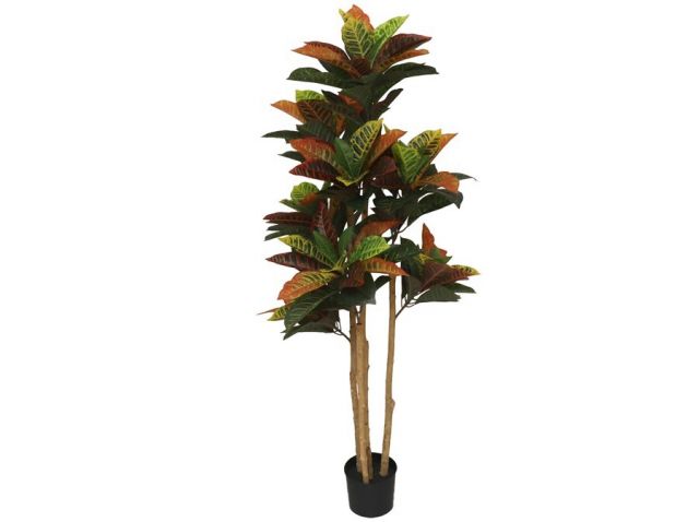 PLANTA CROTON 150CM *390642