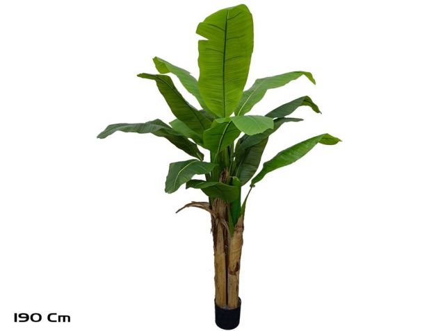 PLANTA PLATANERO 190CM *395333