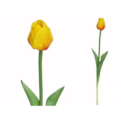 VARA TULIPAN TACTO NATURAL *TE 052823