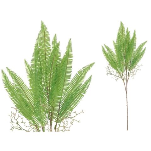 VARA HELECHO X 5 - 81 CM (VERDE) 40354