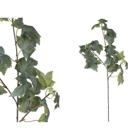 VARA HOJA PARRA X 20 -78 CM *VERDE 34520