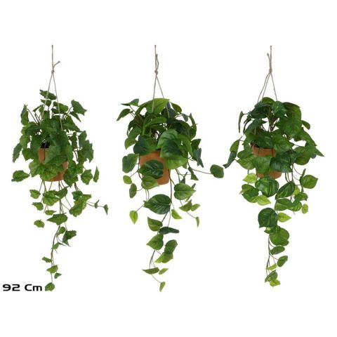 PLANTAS SURTIDAS 3 MODELOS 92 CMS 91410