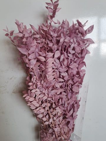 RUSCUS PRESS *MALVA *000-022.82