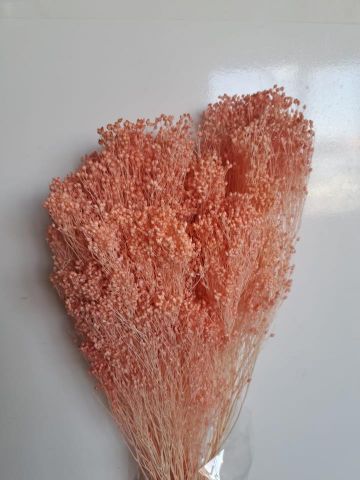 BROOMS  PRESS *SALMÓN *000-006.52