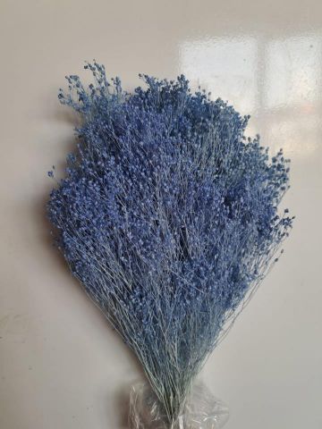 BROOMS PRESS AZUL CLARO *000-006.78