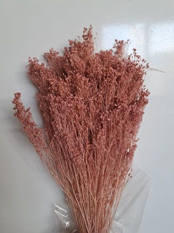 BROOMS PRES *ROSA MAQUILLAJE *000-006.46