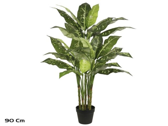 PLANTA DIEFFENBACHIA X5 -110CMS 90833