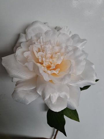 VARA PEONIA *BLANCA 1420-01