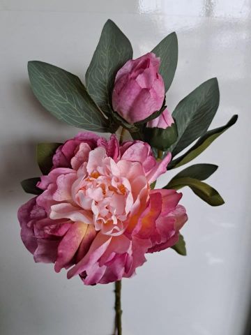VARA PEONIA *MALVA 4737-06