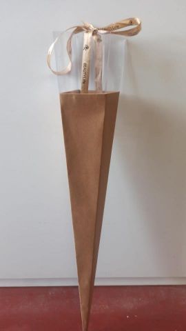 FUNDA ROSA 62CM PAQ 10 *89165