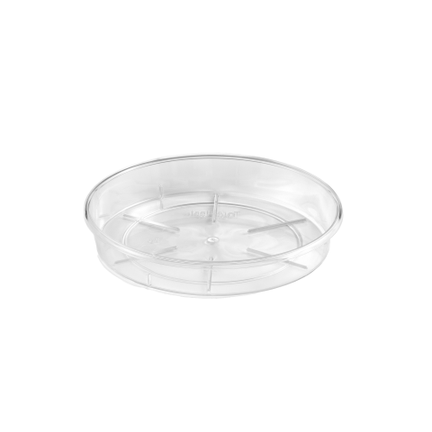 PLATO 12 TRANSPARENTE 080860