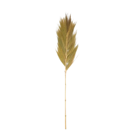 VARA  PAMPA 118CM *55358