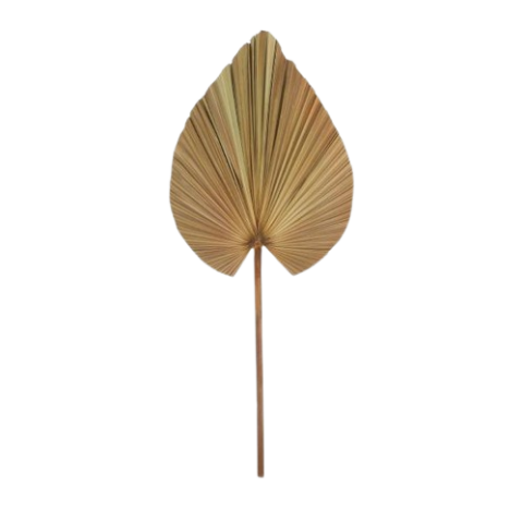 VARA HOJA PALMA GRANDE 109CM 55357