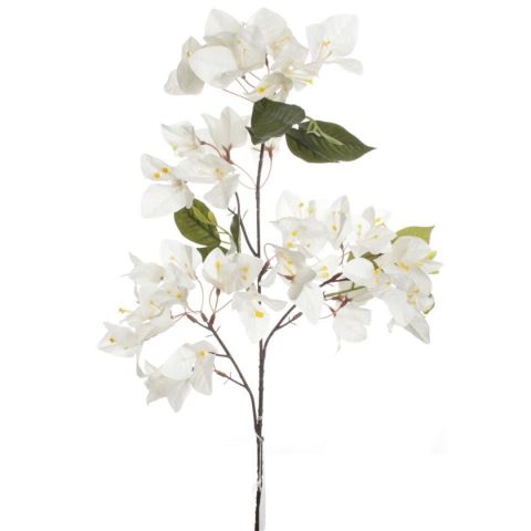  VARA BOUGANVILLEA *BLANCO 7688