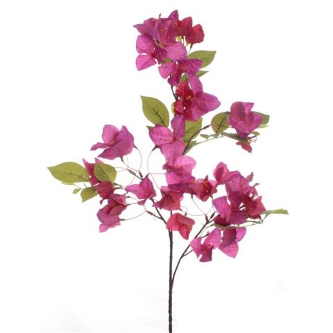 VARA BOUGANVILLA *FUCSIA 7688