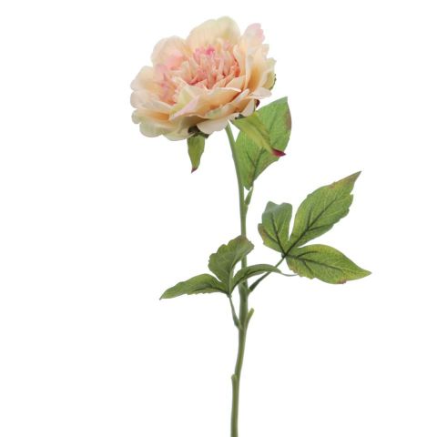 VARA PEONIA TACTO NATURAL *CORAL 6941-24