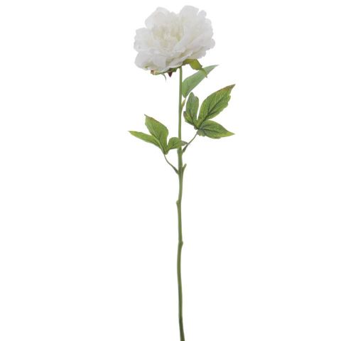 VARA PEONIA TACTO NATURAL *CREMA 6941-01