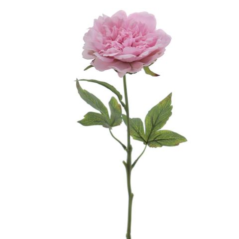 VARA PEONIA TACTO NATURAL *ROSA 6941-12