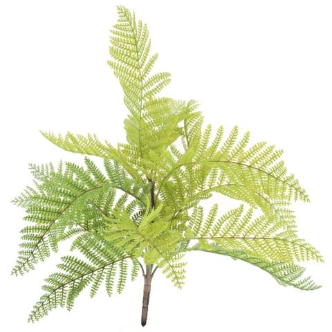 PLANTA HELECHO *VERDE 9766-09