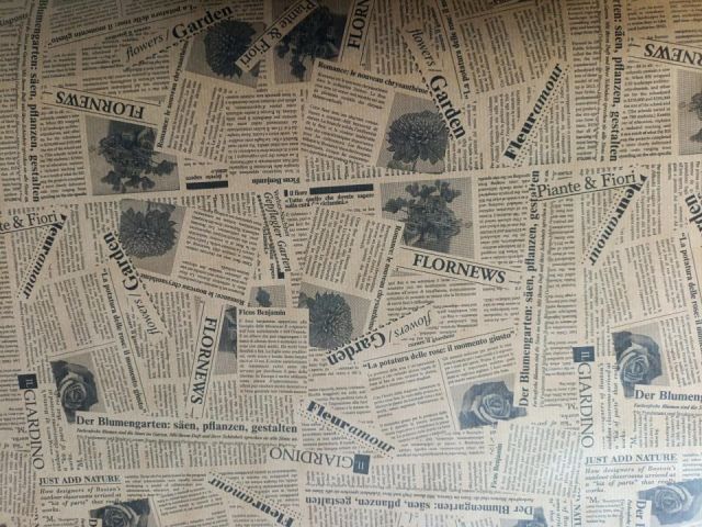 BOBINA KRAFT PERIODICO 62CMS X100MTRS RAP62