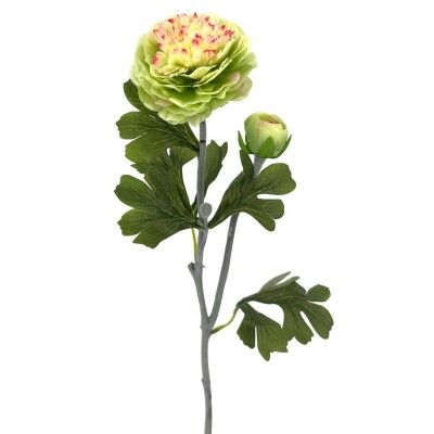 VARA RANUNCULOS X2 POLIESTE.*VERDE 53 CMS G767/4