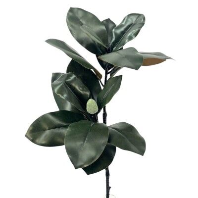 HOJA MAGNOLIO GIGIA.TACTO 80 CMS (18CMS)G774/1