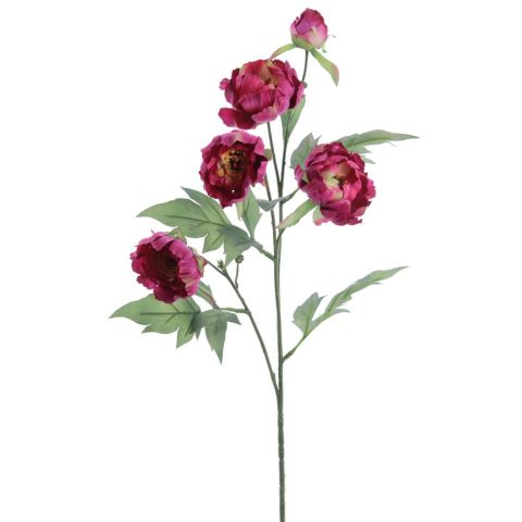 VARA PEONIA X5 *FUCSIA *1215-07