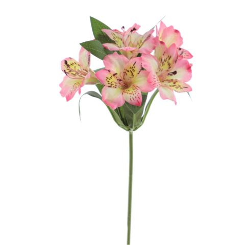 VARA ASTROMELIA *ROSA 6990-12