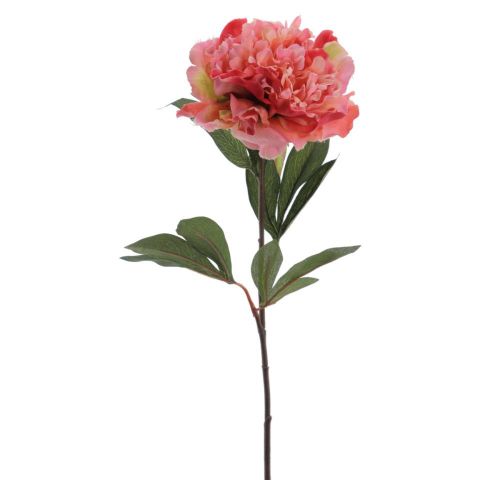 VARA PEONIA *SALMÓN 6010-14