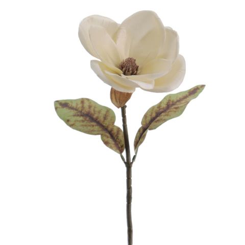 VARA MAGNOLIA *BEIGE 6964-31